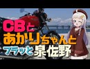 CBとあかりちゃんと"フラッと"泉佐野【シンプル車載動画投稿祭】