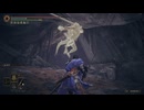 【ELDEN RING】影の地を技量戦士で堪能していく＃22【VOICEROID実況プレイ】