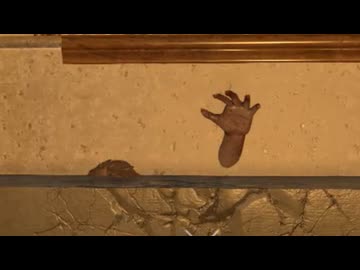 [7DTD] 敏感爆走インセでカッチカチな動物園6 [V1.0]