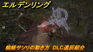 エルデンリングDLC　蜘蛛サソリの動き方　DLC遺灰紹介　＃２１６　【ELDEN RING】