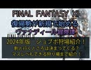 【FF11】2024年版　ジョブポ狩場紹介！割と行くところは決まってくる？マスレベもできる狩場まで紹介！