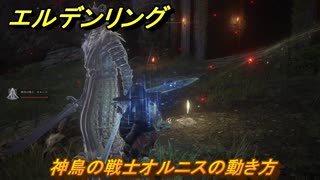 エルデンリングDLC　神鳥の戦士オルニスの動き方　DLC遺灰紹介　＃２２１　【ELDEN RING】