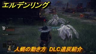 エルデンリングDLC　人蝿の動き方　DLC遺灰紹介　＃２２３　【ELDEN RING】