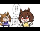 【たぬき】椅子ドンデクラレーション