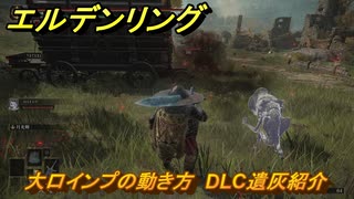 エルデンリングDLC　大口インプの動き方　DLC遺灰紹介　＃２３１　【ELDEN RING】