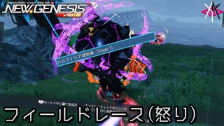 PSO2NGS - フィールドレース (怒り)