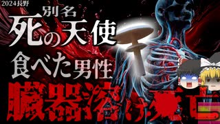 【2024年】『46年ぶりの事例』「お、美味そうなキノコが生えてる」→仕事帰りに採ったキノコを食べた男性 実は猛毒のキノコで〇亡 長野県が有毒きのこ食中毒注意報を発令 【ゆっくり解説】