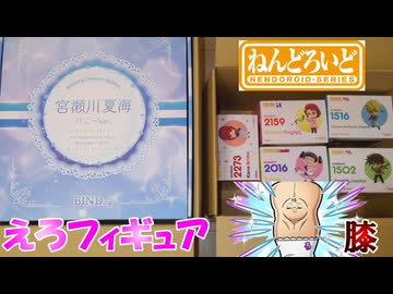 【査定動画】エロフィギュアとねんどろいどを見るお仕事