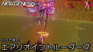 どう考えても無理 | PSO2NGS - ソロで挑むエアリオイントルーダーズ Rank.3 [実況]