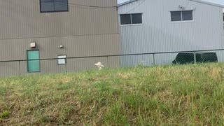 2024/08/21 八尾南