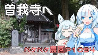 2024年8月21日　農作業日誌P1094　用事を済ませたら曽我寺と曽我八幡宮へ