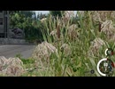 【BeamNG.drive】 Sega Rally
