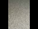 74600761118__C3AD9A15-4B77-49FA-8681-0E5903F1C637
