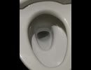 74600840658__C6D7A579-A380-4446-88ED-4AA899F3D517