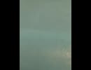 74600872926__836A6325-B13A-4232-8ABE-4F5DD7A3D931