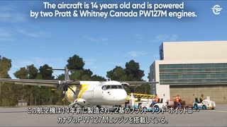 ボエパス航空2283便墜落事故 再現CG(暫定)