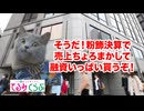 【てるみくらぶ】自力で海外から帰ってこい？！151億円の負債で倒産した格安旅行会社 #猫マニ #猫ミーム