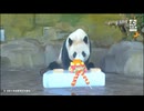 PandapiaLive_2024_08_22