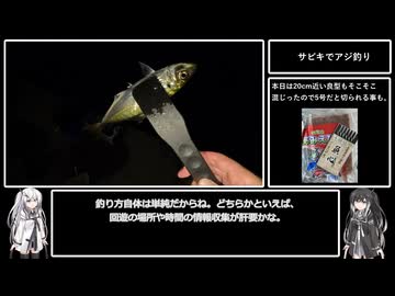 アリミリ姉妹の淡路島海釣り日記Part.6