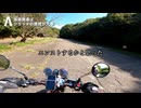 【CB400SF】立ちゴケ必至？！激坂で坂道発進に挑戦！！！