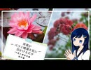 双葉がバラと睡蓮を見に出かけるだけ【CeVIO旅行】