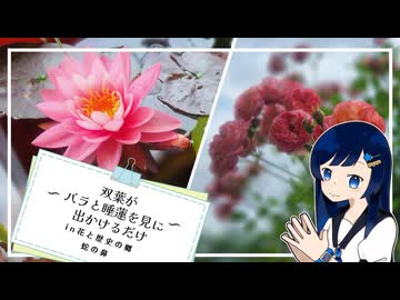 双葉がバラと睡蓮を見に出かけるだけ【CeVIO旅行】