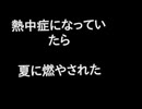 熱中症になりたいな (TWOCKaraoke Edition)