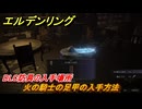 エルデンリングDLC　火の騎士の足甲の入手方法　DLC防具の入手場所　＃２５２　【ELDEN RING】