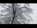 What did I do to deserve this? - 私がこれに値するようなことをしたでしょうか？