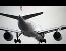 日本航空がYouTuberを買収　　仏教は科学