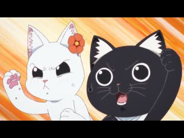 ラーメン赤猫　八杯目　『お客様に年齢制限なし』『高評価ブラッシング』『ラーメンバカ』