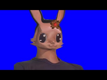 ヤジュエルペットBB