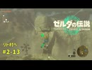 【ティアキン】ゼルダの伝説ティアーズオブザ キングダム2周目　#2-13 リト村へ