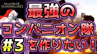 【Mount & Blade 2】紅聖騎士団～バニラで最強のコンパニオン隊を作りたい！～#3【マウントアンドブレード2】【マウブレ2】