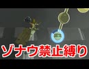 ゾナウ禁止縛りpart42【ティアキン/制限プレイ/ゼルダの伝説ティアーズオブザキングダム】