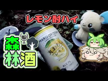【森林酒】真夏の森の飲酒