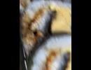 74610306854__DED5D12D-6256-4404-A6A9-6E66CEA0A816