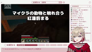 【ぶいぱい】マイクラの動物と触れ合う紅蓮罰まる