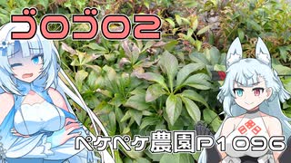 2024年8月23日　農作業日誌P1096　仮設電柱を立てるだけのお仕事