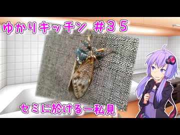 【昆虫食】セミに於ける一私見　～ゆかりキッチン＃３５