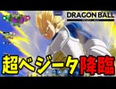 もはやタンクとは言えない攻撃力を宿した最強の戦士【DBPM】#5