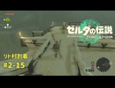 【ティアキン】ゼルダの伝説ティアーズオブザ キングダム2周目　#2-15 リト村到着