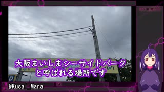 大阪まいしまシーサイドパークのネモフィラ祭りに行ってきました