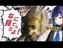 【再投稿】はらへりふたば Vol.2 ｢初夏のイサキ、捌いて炙って食べましょう！｣【双葉湊音】