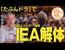 「たぶんトラ」でIEA（国際エネルギー機関）が解体❗❓  杉山大志 【赤坂ニュース 108】令和6年6月15日 参政党