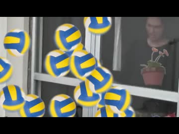 遂に植木鉢を屋内に隠せばいいことに気づいたおじさん