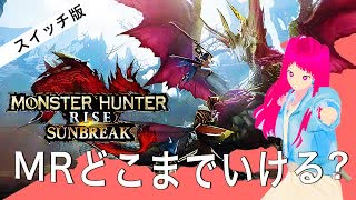 日常演舞「モンハンサンブレイク」実況第12幕