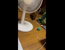 ゆずみがゆずを呼んでみた