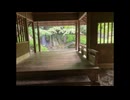 Vlog -夏-