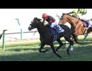 【競馬】2024ワールドオールスタージョッキーズ第2戦【シュバルツクーゲル / C.ルメール】